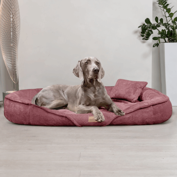 sale | xenia teddy | kuscheliges orthopädisch hundebett | nude rose | 115x90cm