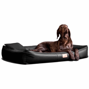 clifford orthopädisches hundebett