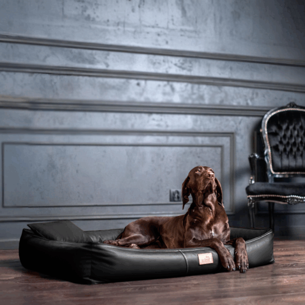 clifford orthopädisches hundebett