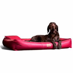 cff ll 04 dunkelrot orthopaedische hundematratze hundebett tierlando clifford creme kunstleder 0.png