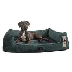 fra 38 petrol franklin tierlando orthopaedisches hundebett kuschlig velours 1.png