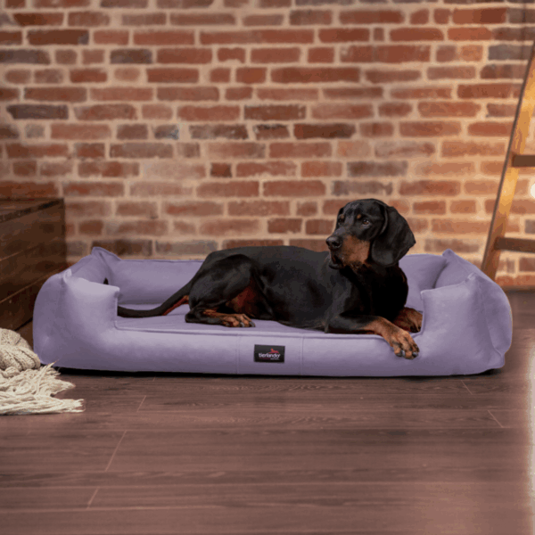 sale | goofy orthopädisches hundebett | flieder | 110x90cm