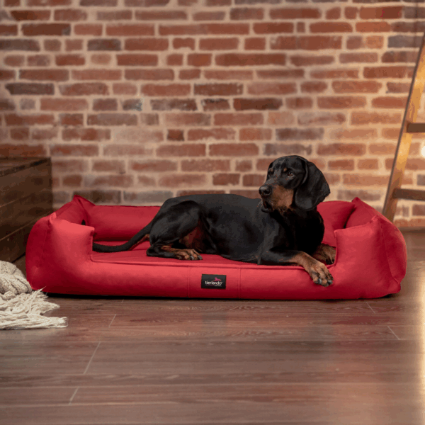 sale | goofy orthopädisches hundebett | kiwi | 110x90cm (kopie)