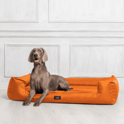 sale | goofy orthopädisches hundebett | orange | 130x100cm