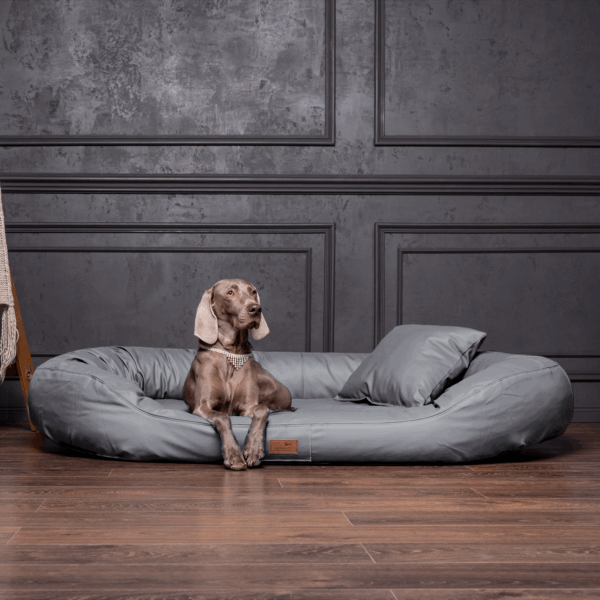 sale | lennart easy clean orthopädisches hundesofa | grau | 170x110cm