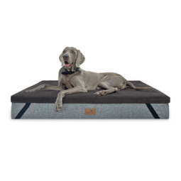 ortho topper high tech velours | orthopädische hundematratzenauflage waschbar