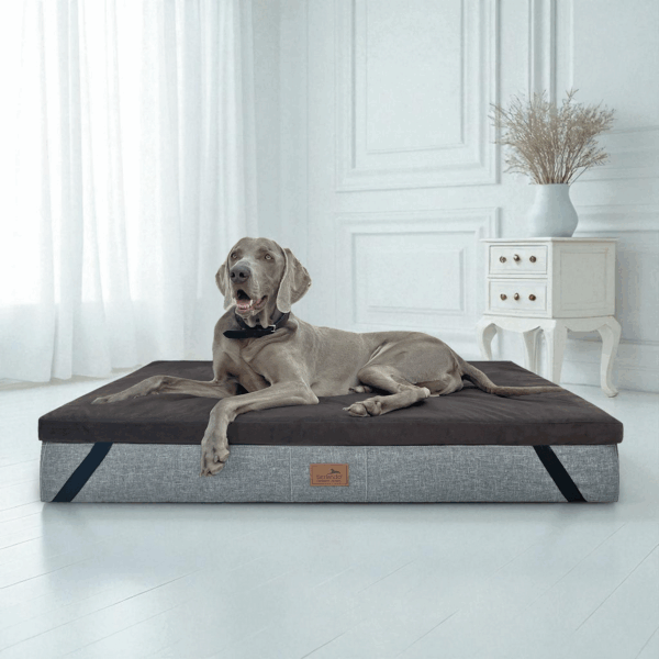 ortho topper high tech velours | orthopädische hundematratzenauflage waschbar