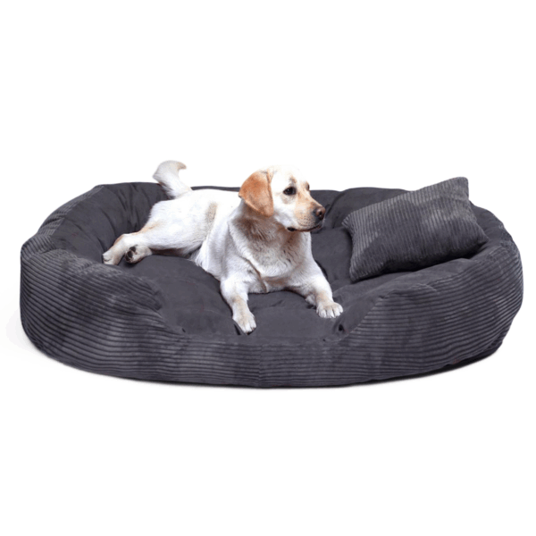 philip soft cord velours 110 140 170cm xl xxl xxxl hundesofa | hundebett