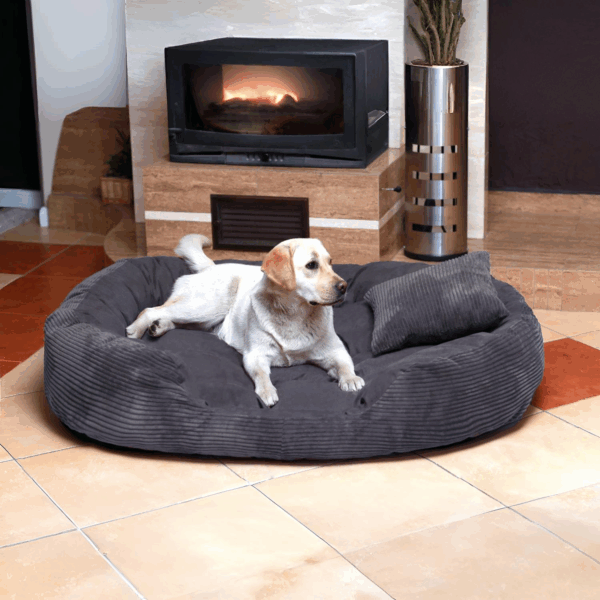 philip soft cord velours 110 140 170cm xl xxl xxxl hundesofa | hundebett