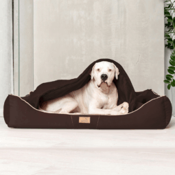 sale | rudolph orthopädisches hundebett, inkl. schonbezug | braun | 160x110cm