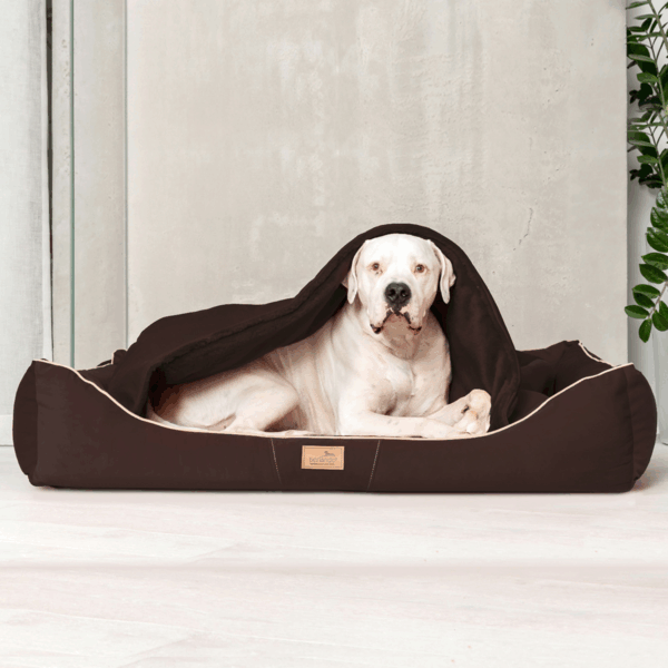 sale | rudolph orthopädisches hundebett, inkl. schonbezug | braun | 160x110cm