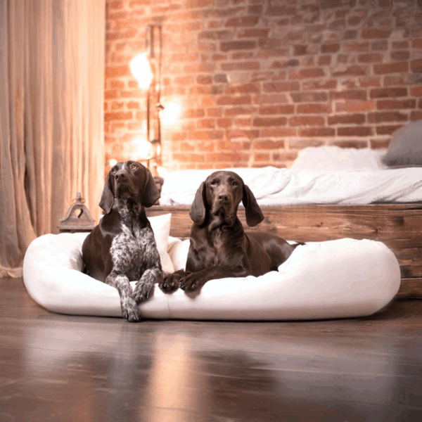 sale | sammy easy clean orthopädisches hundebett | creme | 220x120cm
