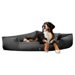 trivia orthopädisches hundebett dreieckbett