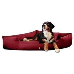 trv 04 dunkelrot trivia tierlando hundebett orthopaedisch eckbett dreieck pflegeleicht xxl xxxl 1 2.png