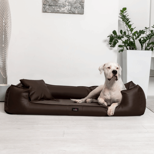 goofy easy clean orthopädisches hundebett