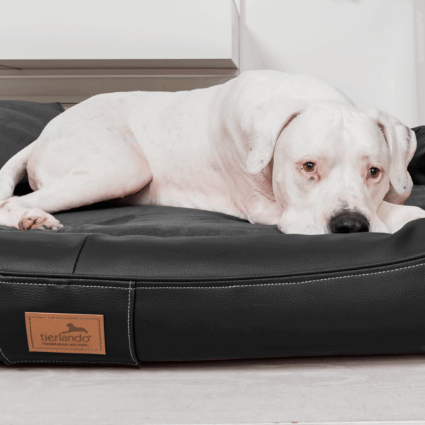 lennart vip visco plus orthopädisches hundebett
