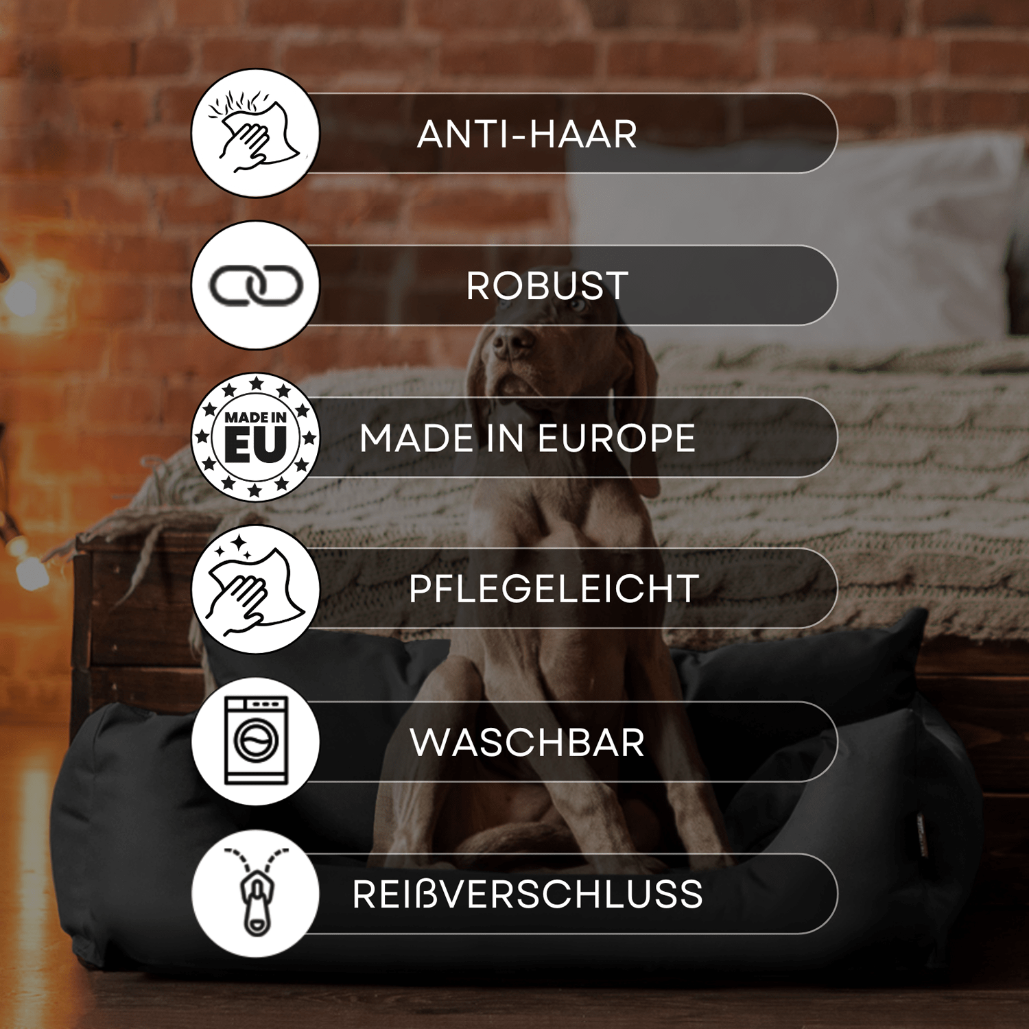 hundesofa s m l hundekorb katzenbett 65 80 100cm | nemo hundebett