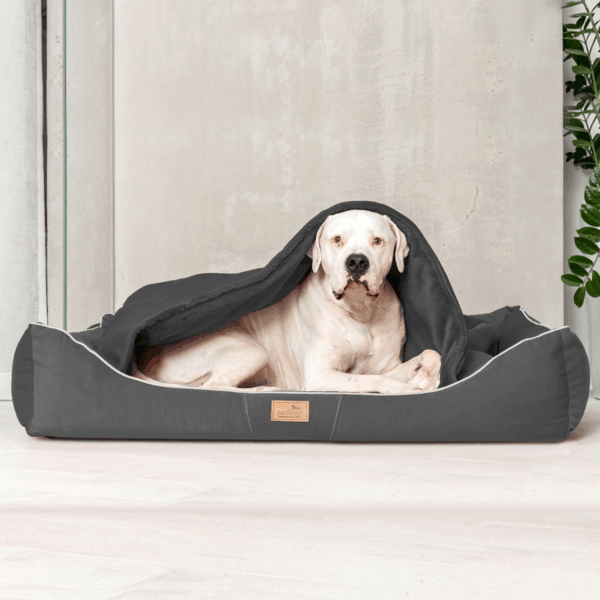 sale | rudolph orthopädisches hundebett, inkl. schonbezug | braun | 160x110cm (kopie)