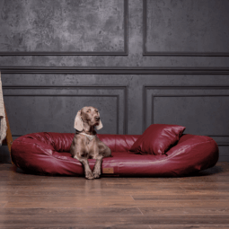 sale | orthopädisches hundesofa lennart easy clean visco plus | graphit | 85x65cm (kopie)