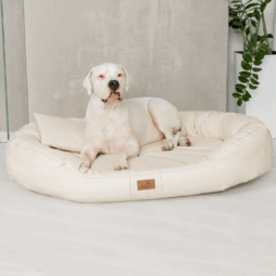 sale | orthopädisches hundesofa lennart easy clean visco plus | dunkelrot | 85x65cm (kopie)