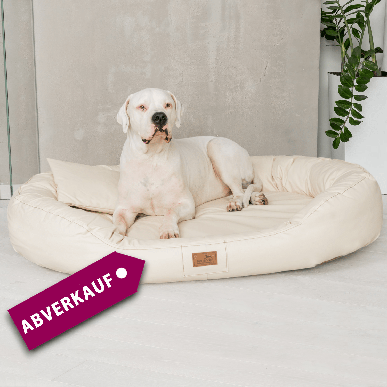 sale | orthopädisches hundesofa lennart easy clean visco plus | creme | 85x65cm