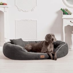 sale | orthopädisches hundebett marlon visco plus | graphit | 85x65cm