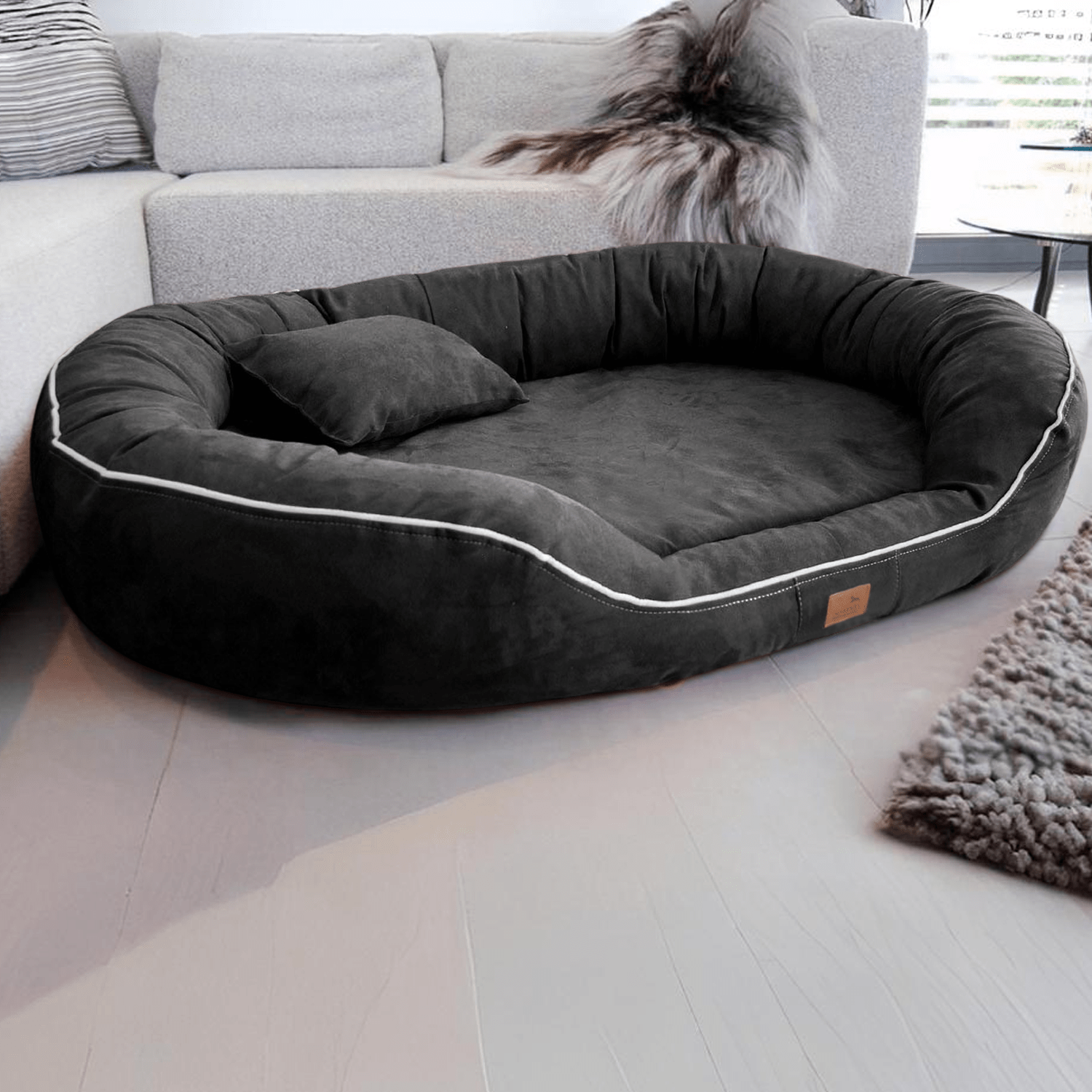 sale | orthopädisches hundebett marlon visco plus | graphit | 85x65cm