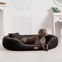 sale | orthopädisches hundebett marlon visco plus | graphit | 85x65cm (kopie)