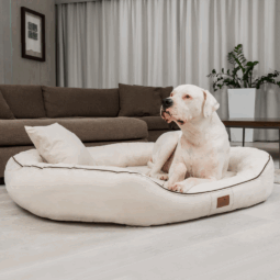 sale | orthopädisches hundebett marlon visco plus | dunkelrot | 85x65cm (kopie)