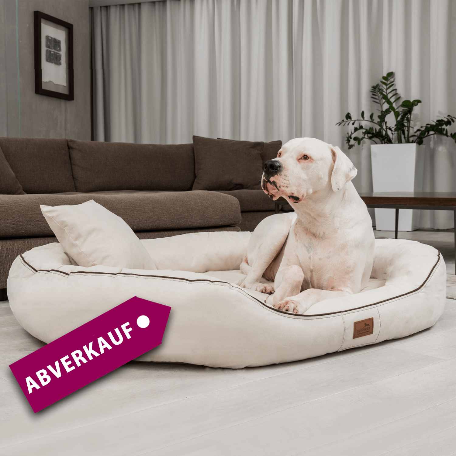 sale | orthopädisches hundebett marlon visco plus | creme | 85x65cm