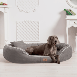 sale | orthopädisches hundebett marlon visco plus | grau | 85x65cm