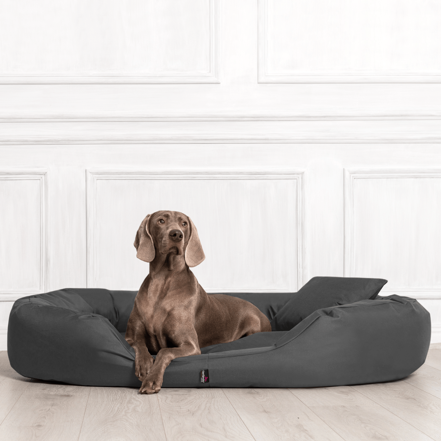 sale | sammy orthopädisches hundebett | schwarz | 100x85cm