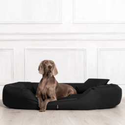 sale | sammy orthopädisches hundebett | schwarz | 110x85cm