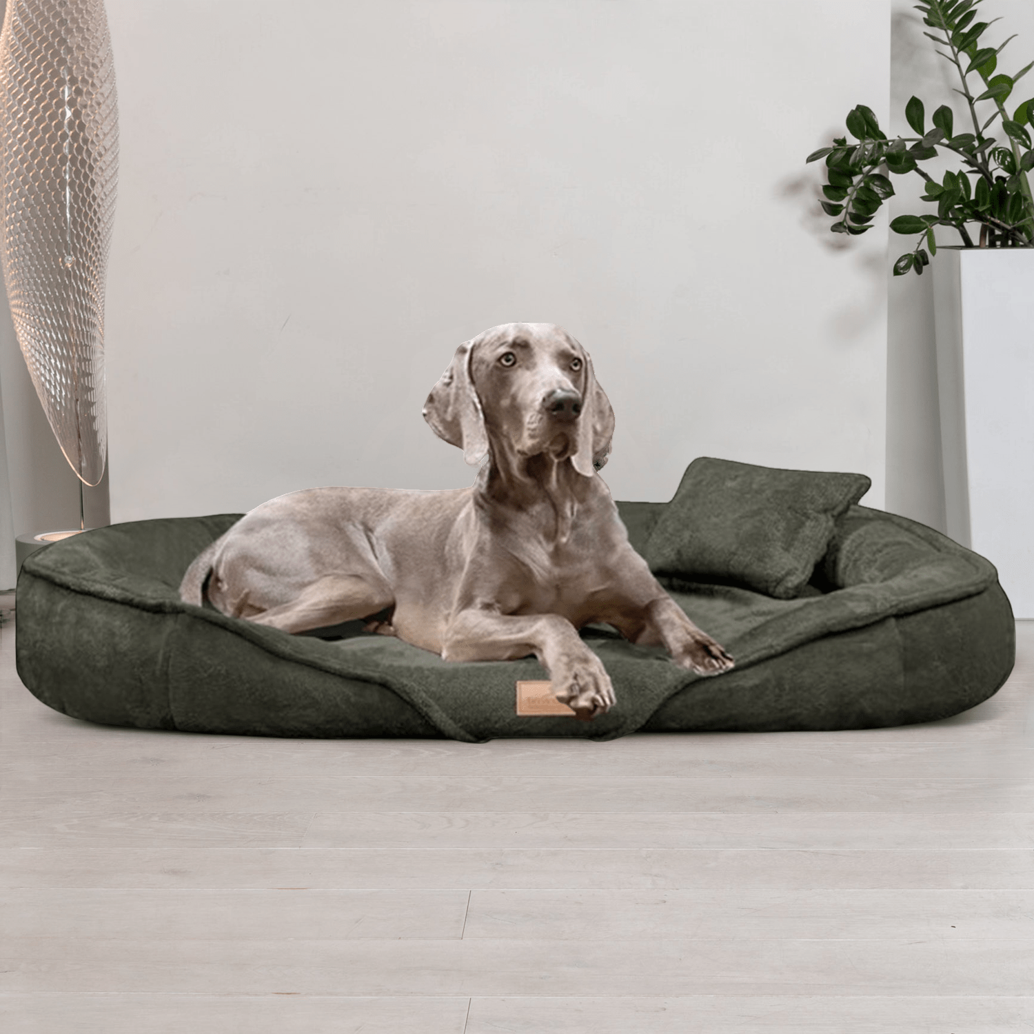 sale | xenia teddy | kuscheliges orthopädisch hundebett | olivgrün | 145x105cm
