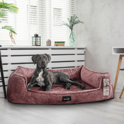 sale | franklin teddy orthopädisches hundebett | nude rose | 110x90cm