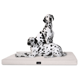 alice visco orthopädische hundematratze 150x100cm, 05 creme