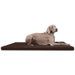 carlos orthopädische hundematratze hundematte 150x100cm, 01 braun