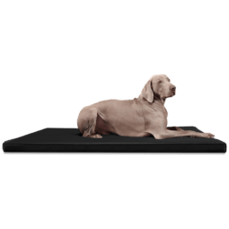 carlos orthopädische hundematratze hundematte 120x90cm, 03 schwarz