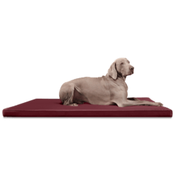 carlos orthopädische hundematratze hundematte 100x80cm, 04 dunkelrot