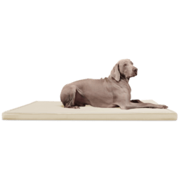carlos orthopädische hundematratze hundematte 120x90cm, 05 creme