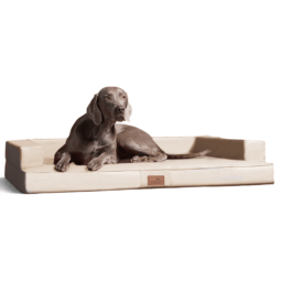 gibson orthopädisches hundesofa 150x100cm, 05 creme