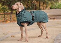 tierlando amy hundejacke hundemantel winter warm grosse hunde 1500x1000px 03 gruen