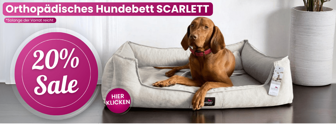 tierlando banner scarlett 2025