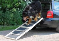 tierlando hunderampe 160x50 natur rasen komfort