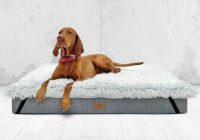 tierlando ortho topper shady 1500x1000 mit hund weiss